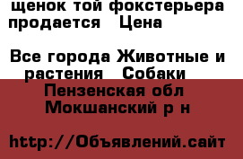 щенок той-фокстерьера продается › Цена ­ 25 000 - Все города Животные и растения » Собаки   . Пензенская обл.,Мокшанский р-н